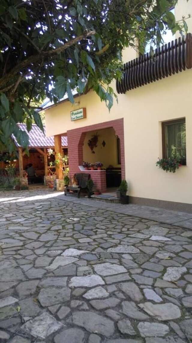 Гостевой дом Pensiunea Casa Domniței Sucevița Сучевица-27